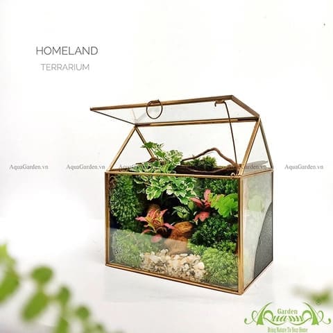 Terrarium 5 - Homeland